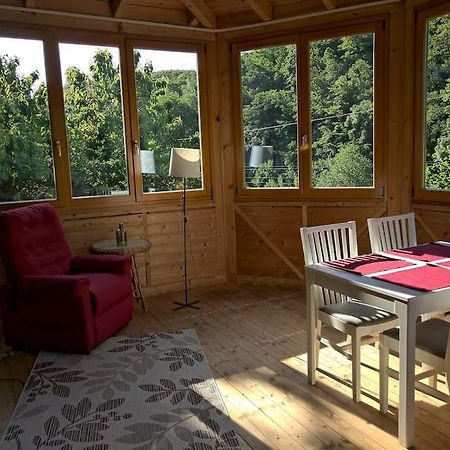 Idyllische Ferienwohnung In Zentrumsnaehe Dresda Exterior foto