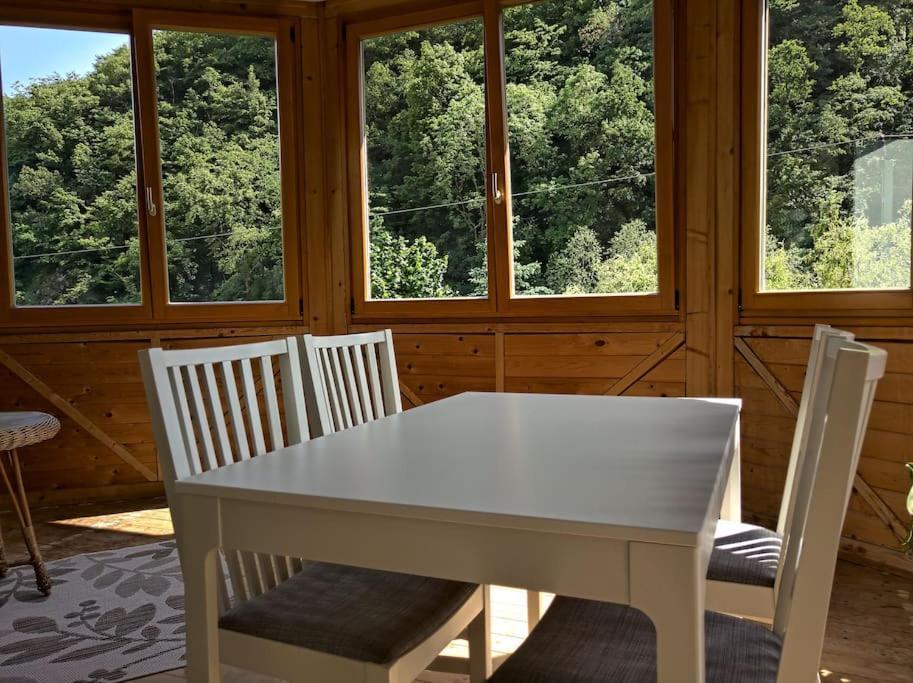 Idyllische Ferienwohnung In Zentrumsnaehe Dresda Exterior foto