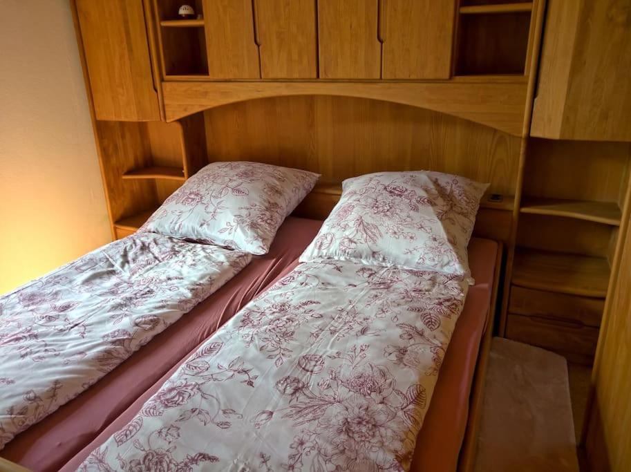 Idyllische Ferienwohnung In Zentrumsnaehe Dresda Exterior foto