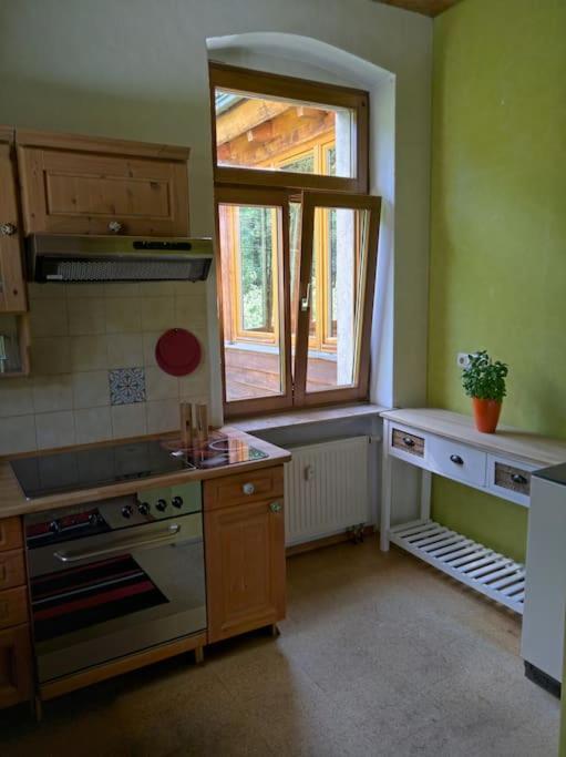 Idyllische Ferienwohnung In Zentrumsnaehe Dresda Exterior foto
