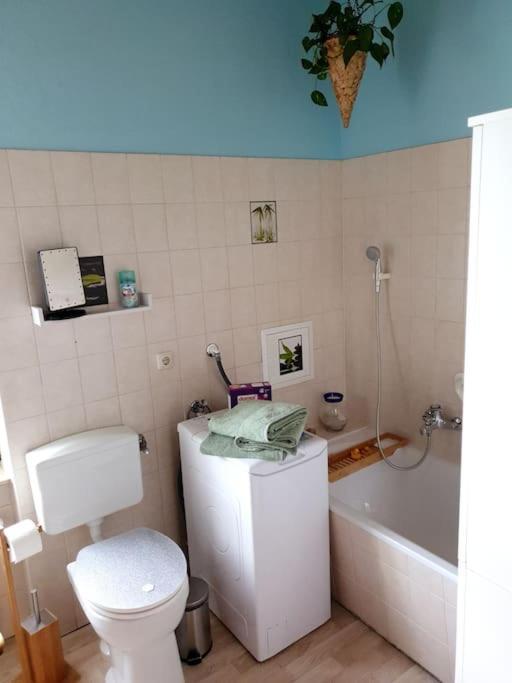 Idyllische Ferienwohnung In Zentrumsnaehe Dresda Exterior foto