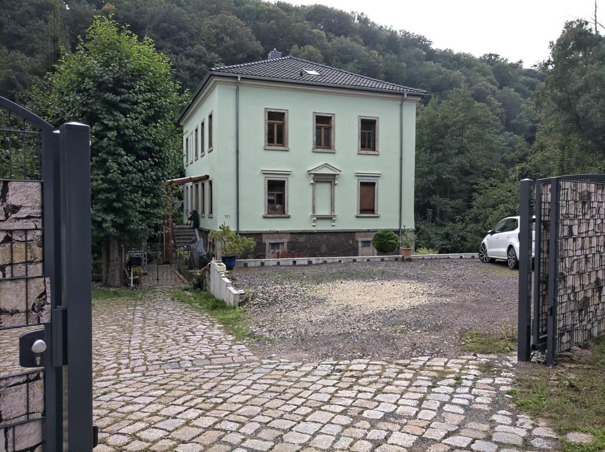 Idyllische Ferienwohnung In Zentrumsnaehe Dresda Exterior foto
